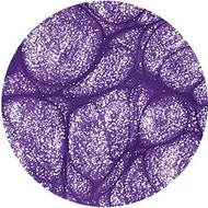 CND Creative Play Gel DUO - Miss Purplelarity 0.5 oz #455