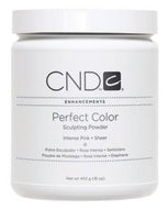CND - Perfect Color Powder - Intense Pink - Sheer 16 oz, Acrylic Powder - CND, Sleek Nail